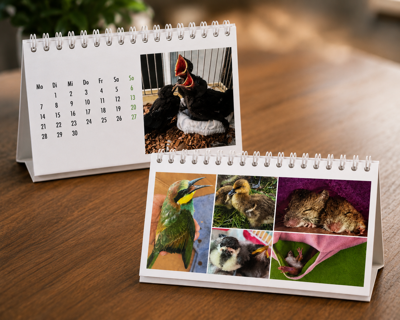 Kalender